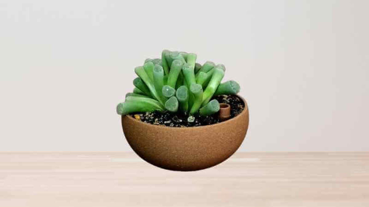 Maceta en impresión 3D con sistema de riego