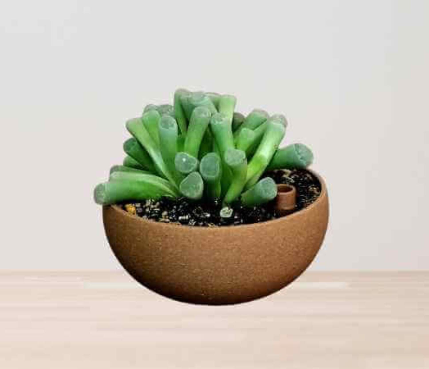 Macetero planta suculenta impresion 3d con sistema de riego. Sostenible y ecológico